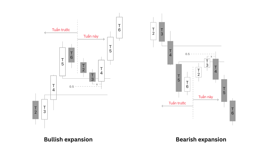 Following Expansion Weekly Profile