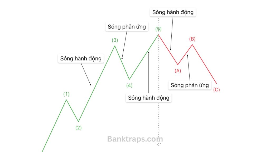 Chức năng của các con sóng
